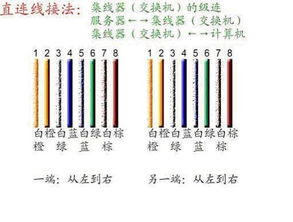 网线 连接数字世界的关键纽带