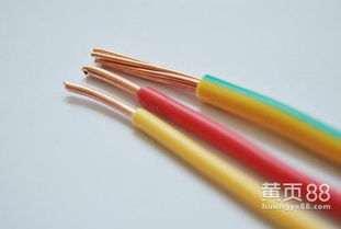 从电源线到网络线 数字时代的“神经脉络”与连接之道